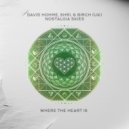 David Hohme, SHRI & Birch (UK) - Nostalgia Skies (Original Mix)