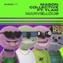 Mason Collective & YLAM - Marvellous (Original Mix)