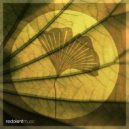 Marco Dily, Aminu - Teardrop (Stevie Keys Remix)