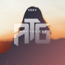 VEKY - Why You Cry (Original Mix)