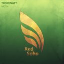 Tropenatt - Moth