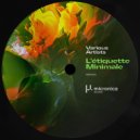 Daniel Meister - Mental Journey