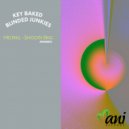 Key Baked, Blinded Junkies - Melting