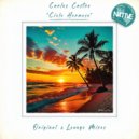 Carlos Castro - Cielo Hermoso (Lounge Mix)