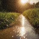 Premium Loops - Sun After Rain (Original Mix)