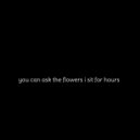 Lil Barberi - you can ask the flowers i sit for hours (Original Mix)