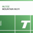 MlTOz - Mountain Wuyi (Original Mix)