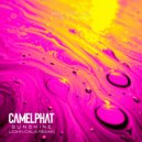 CamelPhat - Sunshine (John Cala Extended Remix)