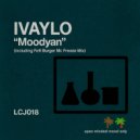 Ivaylo - Moodyan (Fett Burger Mr Freeze Mix) (DJ Fett Burger Mr Freeze Mix)