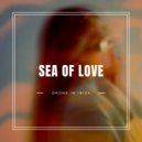 Drone In Ibiza - Sea Of Love (Original Mix)