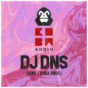 DJ DNS - Signs (Original Mix)