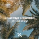 Alexander Spark, Anton Pallmer - Just Love Me Now