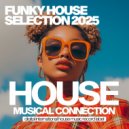 Boogie Shapes - Like Feelin (Original Mix)