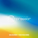 Big Bunny - This Machine