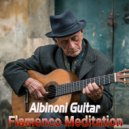 Lucas Tarrega.Guitar - Flamenco Fusion for Relaxation