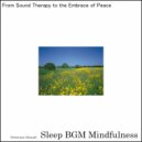 Sleep BGM Mindfulness - Embracing the Power of Serotonin and Deep Sleep (Original Mix)