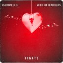 Astro Pulse DJ - Where the Heart Goes (Original Mix)
