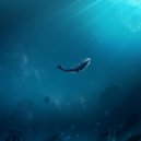 DJ Fexpo - Deep Inside us ()