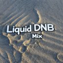 Funkerr - Liquid DnB mix 06.13 ()