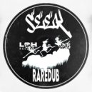 Seek - RAREDUB