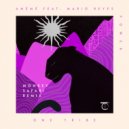 Mario Reyes, AMEME - Power (Monkey Safari Remix)