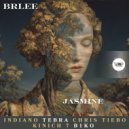Brlee - Wasteland (Tebra Remix)