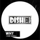 Carlos Mantilla - WHY ()