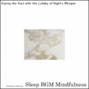 Sleep BGM Mindfulness - Neural Soothing in Euphoric Waves