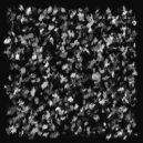 747 - Second Narrows (Continuous Mix)