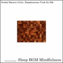 Sleep BGM Mindfulness - Deep Dive into Serenity with Neuron Power and Nature\'s Touch (Original Mix)
