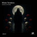 Mister Tenebrio - Rain 2025 (Original Mix)