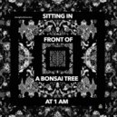 latenightwithshowtime - Sitting in Front of a Bonsai Tree at 1am ()