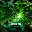 Cosmic Sin - The Psychedelic Brain