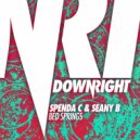 Spenda C & Seany B - Bed Springs (Swoop Remix)