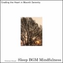 Sleep BGM Mindfulness - Deep Connection with Sound Healing and Sleep Enhancement