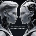 Ritchy & MEIRLIN - You Drive Me Crazy