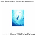 Sleep BGM Mindfulness - Tranquil Visions Basking in the Auras of Soundscapes Whispers (Original Mix)