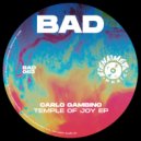 Carlo Gambino - Vibe Check
