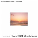Sleep BGM Mindfulness - Lulled to Night\'s Embrace by the Sounds of Neural Resonance (Original Mix)