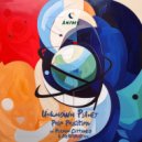 Pole Position - Unkown Planet