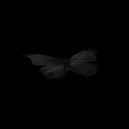 rdwy - Similarity ()