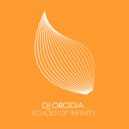 DJ Orcidia - Echoes Of Infinity (Extended Mix)