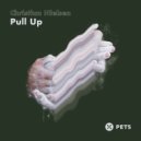 Christian Nielsen - Pull Up