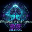 DJ BilekS - Shadows in the Forest
