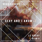 Le Boeuf x Noah Gunthrie - Sexy And I Know It (Extended Mix)
