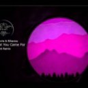 Calvin Harris & Rihanna - This Is What You Came For (Kvant Remix)