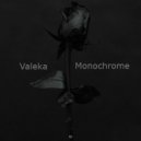 VALEKA - Monochrome (DnB Mix)