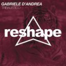 Gabriele D\'Andrea - Tribalistico (Original Mix)
