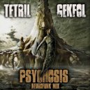 Tetril & Gekfol - Psychosis (Neurofunk mix)