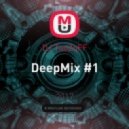 DJ TooZoFF - DeepMix #1